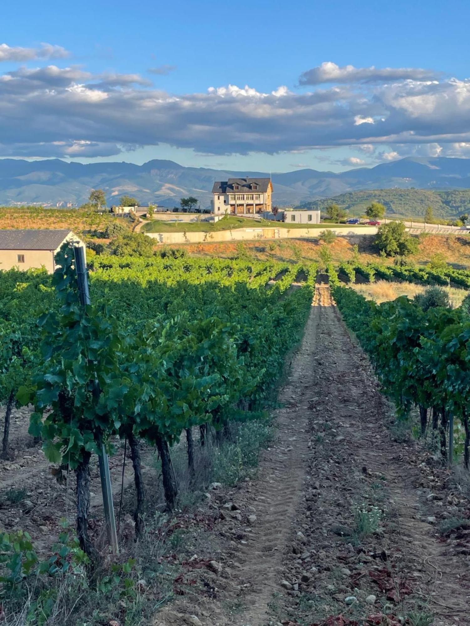 Boutique Finca Esencial Villafranca Del Bierzo Ngoại thất bức ảnh